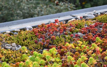 the cost of Butterlope green roof installation