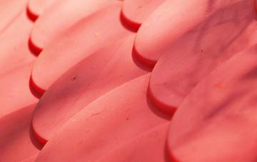 Butterlope plastic roof costs