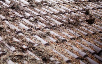 Butterlope roof cleaning companies