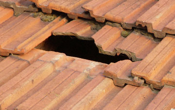 roof repair Butterlope, Strabane