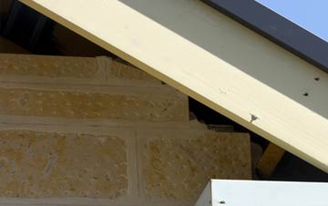 soffit repair Butterlope