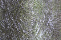 Butterlope fibreglass roof work